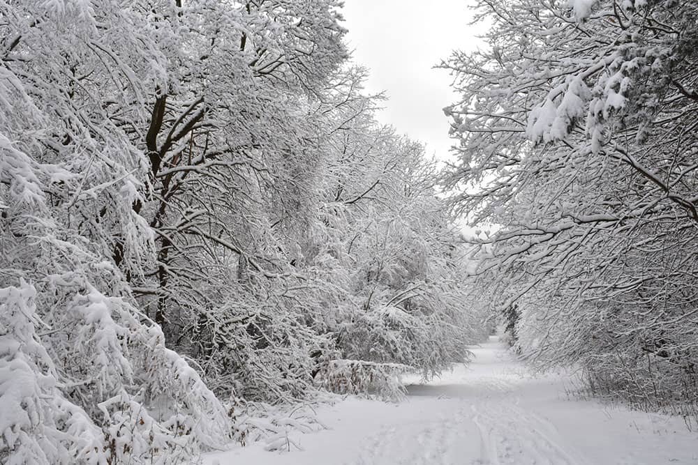 Vitosha Mountain Bulgaria