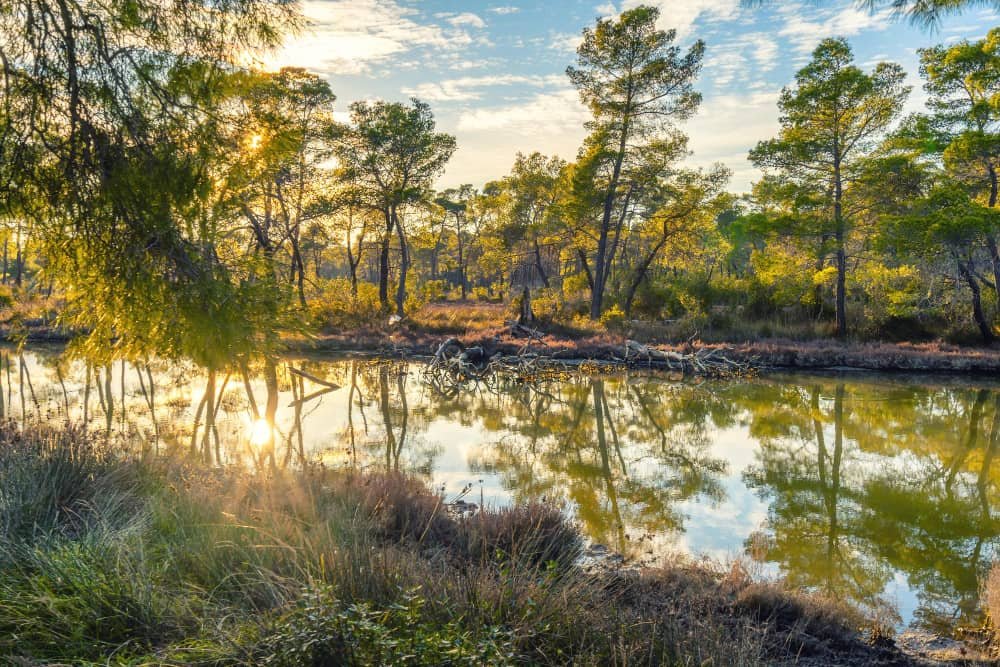 Divjaka-Karavasta National Park Albania